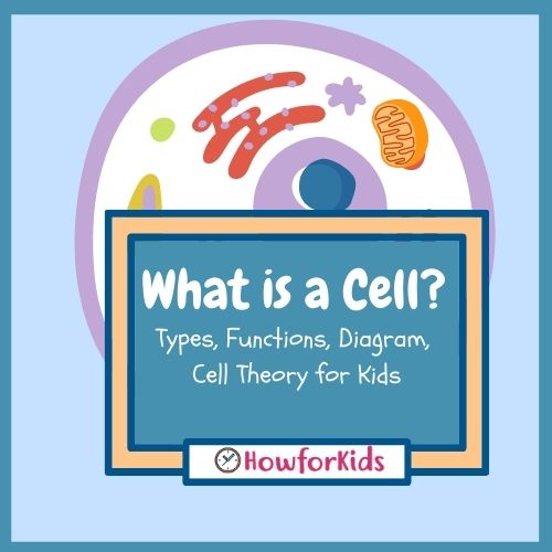 What is a Cell for Kids