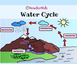 The Water Cycle Easy for children