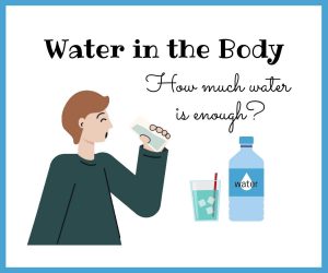 Importance of Water in the Body: Easy Ways to Drink more Water