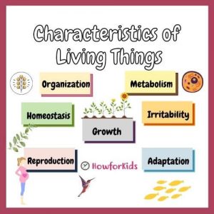 Characteristics of Living Things 