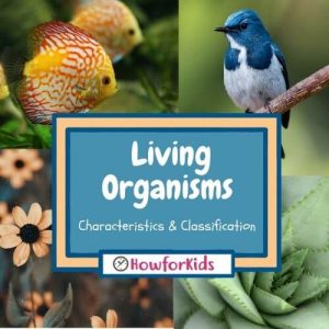Characteristics of Living Things for Children 