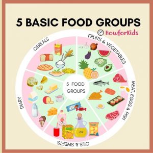 Basic food groups for kids