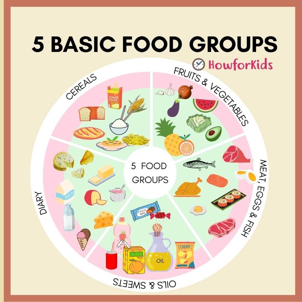 What Are The Five Basic Food Groups Howforkids