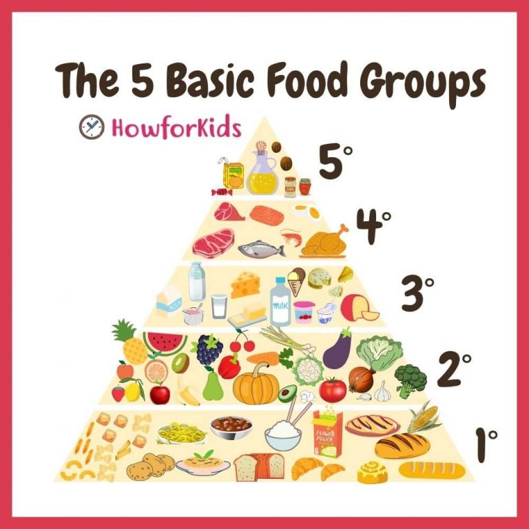 five key food groups