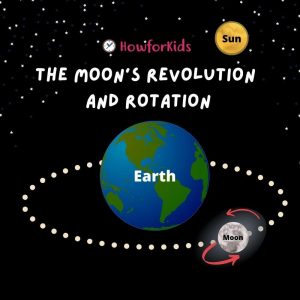 Motions of the Moon. Revolution and Rotation