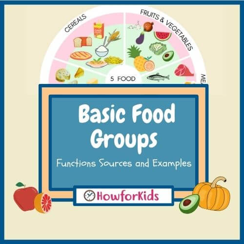 The Five Basic Food Groups for Kids