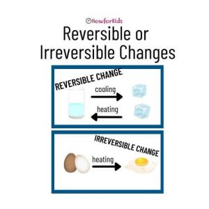Heat: and Reversible and Irreversible Changes for kids