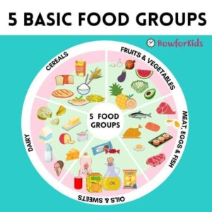 The Basic Food Groups easy for students