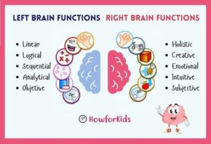 brain left and right hemisphere functions