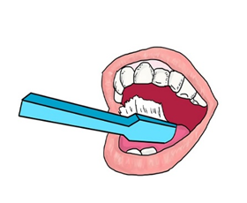 The Digestive Process: Mouth and teeth