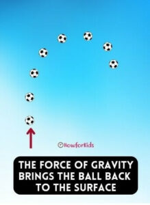 Gravity and Gravitational Force