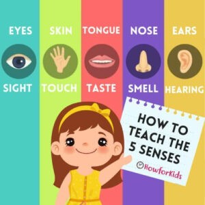 How to teach the five senses to children