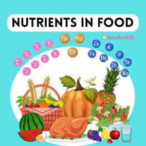 Food and Nutrients easy