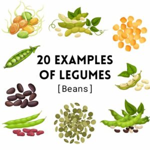 20 Examples of Legumes for kids