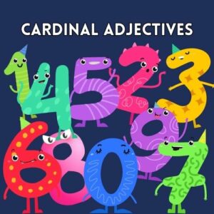 A cardinal adjective is an adjective used to express a precise quantity or number.
