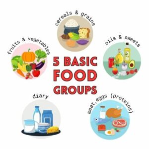 5 main food groups: Food groups are categories in which different types of foods are classified based on their nutritional characteristics and the nutrients they provide. These categories are used to facilitate the planning of a balanced diet that provides the necessary nutrients to maintain health and well-being.