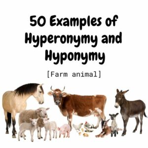 50 Examples of Hyperonymy and Hyponymy