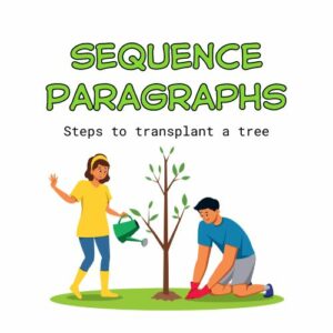 Examples of Sequence Paragraphs for students