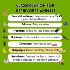 Rhizophagous animals are herbivorous creatures that primarily feed on plant roots 